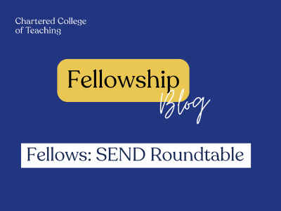 Fellows SEND Roundtable (1)